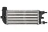 Інтеркулер THERMOTEC DAF010TT (фото 2)