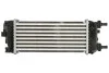 Інтеркулер THERMOTEC DAF015TT (фото 2)