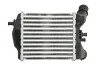 Інтеркулер THERMOTEC DAF018TT (фото 2)