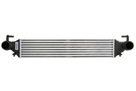 Інтеркулер THERMOTEC DAF019TT