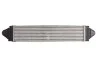 Интеркулер THERMOTEC DAI002TT (фото 2)
