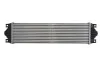 Элемент воздушного охлаждения. THERMOTEC DAR002TT (фото 2)