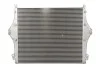 Впускний охолоджувач повітря THERMOTEC DASC012TT (фото 2)