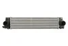 Інтеркулер THERMOTEC DAV010TT (фото 1)