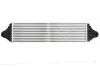 Інтеркулер THERMOTEC DAV012TT (фото 2)