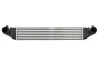 Інтеркулер THERMOTEC DAX041TT (фото 1)