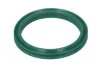 Ущільнювач патрубка інтеркулера RENAULT FLUENCE, GRAND SCENIC III, KANGOO BE BOP, KANGOO EXPRESS, MEGANE III, SCENIC III 1.5D 11.08- THERMOTEC DCR282TT (фото 1)
