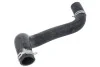 Шланг радиатора THERMOTEC DW0527TT (фото 1)