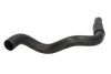 Шланг радиатора THERMOTEC DW0537TT (фото 1)