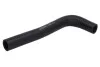 Шланг радиатора THERMOTEC DW0550TT (фото 1)
