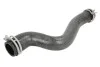 Шланг гумовий сист. охолоджен. THERMOTEC DWC124TT (фото 1)