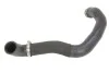 Шланг радиатора THERMOTEC DWM174TT (фото 1)