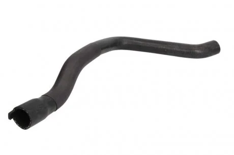 Фото 1 - шланг гумовий сист. охлаждений. THERMOTEC DWP096TT Шланг гумовий сист. охлаждений. THERMOTEC DWP096TT (фото 1)