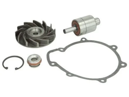 Ремкомплекти водяної помпи THERMOTEC WP-MN111RK