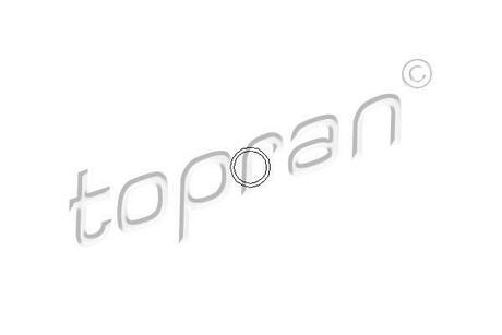Елемент уприскування Monopoint TOPRAN / HANS PRIES 100 678 (фото 1)