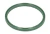 Кільце ущільнююче 53.95 мм 3C0145117D VAG 116 305