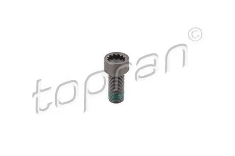 Гвинт з циліндричною голівкою М10x1x22. 30 TOPRAN / HANS PRIES 117243 (фото 1)