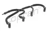 Hose, fuel overflow 119127
