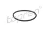ORING POMPY PALIWA 628105
