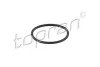 ORING POMPY PALIWA 628106