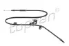 LINKA H-CA PRAWA 631764