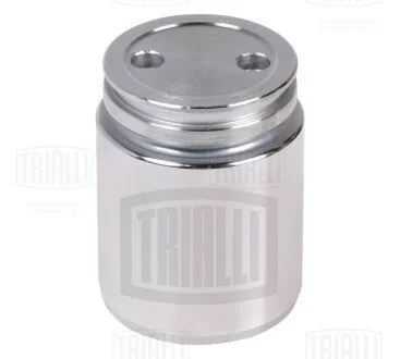 Поршень зад. супорту для а/м Ford/Mazda/Opel/Renault/SAAB/VOLVO d=38mm Trialli RCF 102064