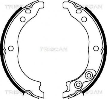 Гальмівні колодки ручного гальма TRISCAN 810010010 (фото 1)