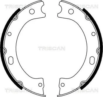 Гальмівні колодки ручного гальма TRISCAN 810014011 (фото 1)