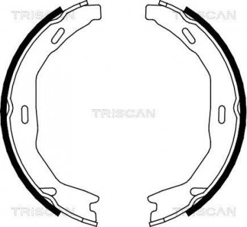 Гальмівні колодки ручного гальма TRISCAN 810023029 (фото 1)