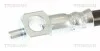 Патрубок NISSAN PRIMERA TRISCAN 8150 14159 (фото 3)