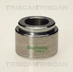 Ремкомплект супорта PKW TRISCAN 8170 234003