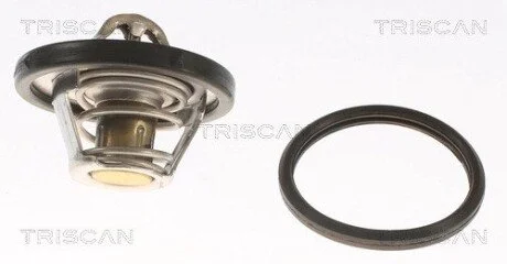Термостат FORD (1) TRISCAN 8620 10582