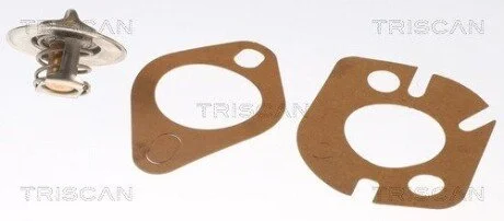 Термостат FORD, MERCEDES, ROVER (2) TRISCAN 8620 1082