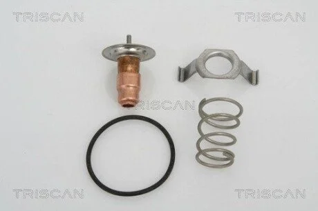 Термостат SKODA (2) TRISCAN 8620 13487