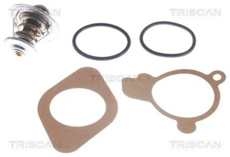 Термостат AUDI-FORD-OPEL-VOLKSWAGEN(TRISCAN 8620 2387
