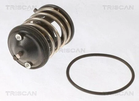 Термостат BMW TRISCAN 8620 43287