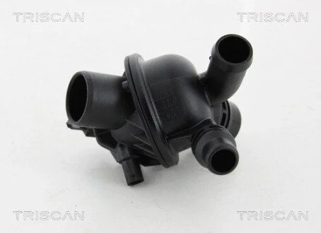 Термостат BMW TRISCAN 8620 43797