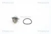 Термостат AUDI A3, A4, VW PASSAT (1) TRISCAN 8620 7191 (фото 1)
