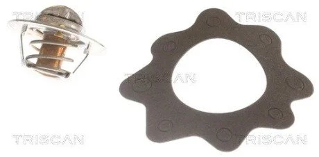 Термостат ROVER (1) TRISCAN 8620 7888
