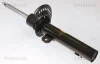 Амортизатор підвіски FORD TRISCAN 8705 16119 (фото 1)