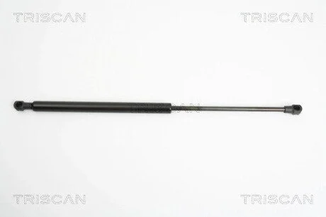 Амортизатор багажника RENAULT CLIO III TRISCAN 8710 25234
