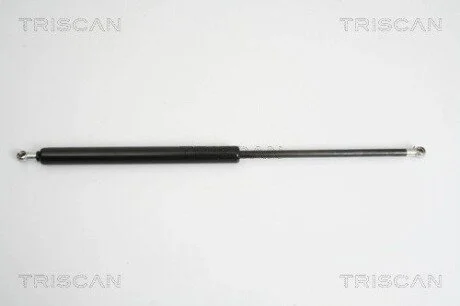 Амортизатор багажника CITROËN C5 (RC) TRISCAN 8710 38225