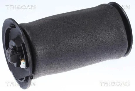 Пневмоподушка подвески BMW TRISCAN 8720 11202