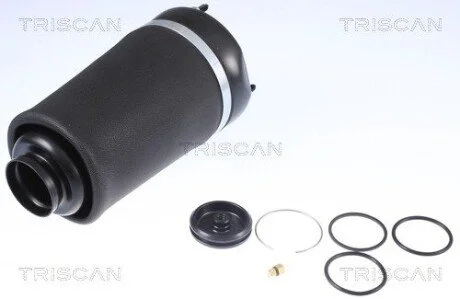 Пневмоподушка підвіски MERCEDES TRISCAN 8720 23101