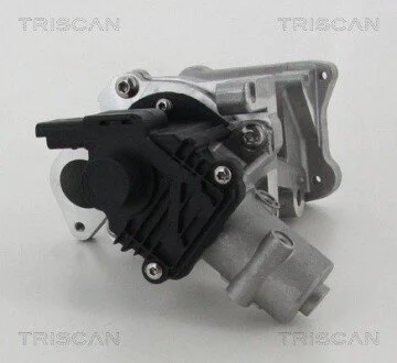 Клапан рецеркуляции отходящих газов FORD/VOLVO/MAZDA TRISCAN 8813 10007 (фото 1)