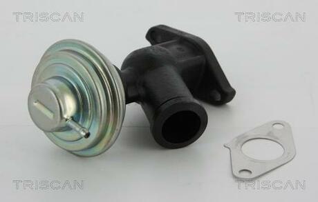 Клапан рецеркуляції відпрацьованих газів PSA/FIAT/GM TRISCAN 881310011 (фото 1)