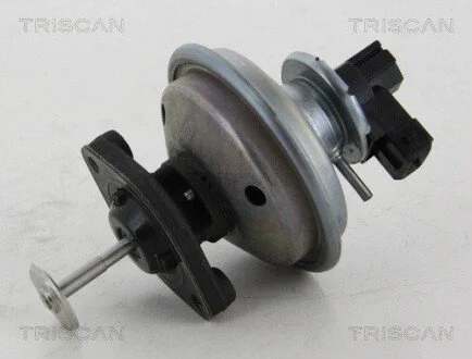 Клапан рецеркуляції відпрацьованих газів BMW TRISCAN 8813 11002