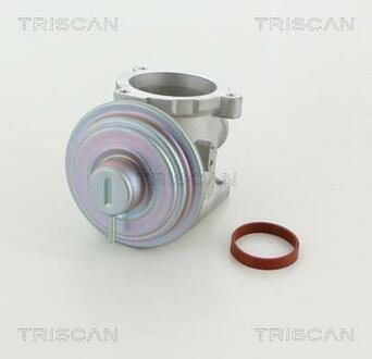 Клапан рецеркуляції відпрацьованих газів BMW TRISCAN 881311003 (фото 1)