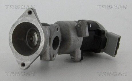 Клапан рецеркуляции отходящих газов FORD/LANDROVER TRISCAN 8813 17020 (фото 1)
