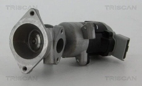 Клапан рецеркуляции отходящих газов FORD/LANDROVER TRISCAN 8813 17020 (фото 1)
